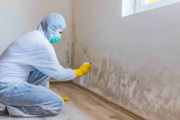 Mold inspector in Hagerstown performing thermal imaging