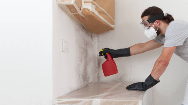 Basement Mold Remediation treatment on basement walls in Hagerstown
